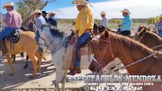 cabalgata santa Gertrudis191123el tamborazo de sta Isabelcontra a mony Mendoza al 6141371592 [upl. by Mloc]