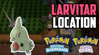 How to Catch Larvitar  Pokémon Brilliant Diamond amp Shining Pearl [upl. by Chaiken62]