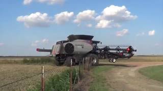 Wheat Harvest near Megargel Texas with Kulhanek Harvesting  June 2016 [upl. by Odrarej]