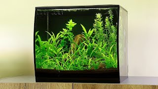 How to Aquascape a Fluval Flex [upl. by Hait890]