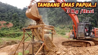 TAMBANG EMAS PAPUA 1 HARI DAPAT 3 KG  INDONESIAN GOLD MINING IN PAPUA [upl. by Okomot838]