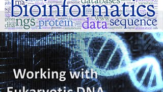 Bioinformatics lecture 9 working with eukaryotic DNA practical bioinformatics [upl. by Immaj530]