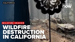 Multiple wildfires causing destruction in California [upl. by Samul846]