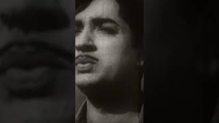 Devalokha Rathavumaayi Video Song Shorts  Vivahitha Movie  Prem Nazir  Padmini  K J Yesudas [upl. by Eked299]