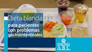 Dieta blanda para pacientes con problemas gastrointestinales [upl. by Harlamert595]