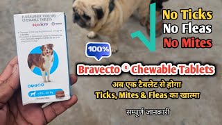 Bravecto For Dogs  अब एक टेबलेट से Ticks Fleas Mites का खात्मा  Bravecto powerful tablet [upl. by Keisling]