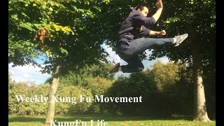 Shaolin Combination Kicks Flick Kick amp Jumping Kick Cai Jiao amp Er Ti Jiao [upl. by Kostman935]