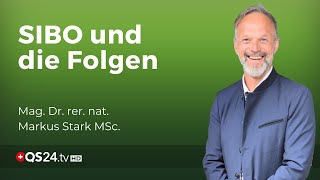 Die Konsequenzen einer gestörten Dünndarmflora  Mag Dr rer nat Markus Stark MSc  QS24 [upl. by Scutt501]