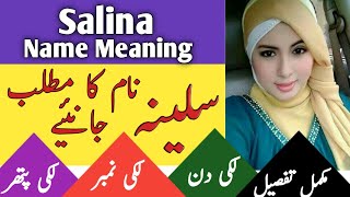 Salina Name Meaning In Urdu amp English  سلینہ  Salina Naam Ka Matlab [upl. by Sibilla]