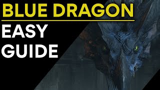 Demons Souls Blue Dragon Easy Guide [upl. by Tamberg]