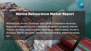 Marine Reinsurance Market Report 2024 Forecast Market Size amp Growth [upl. by Clotilda]