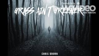 Chris Brown  Grass Aint Greener Bass boosted Instrumental [upl. by Aivitnahs]