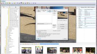 Add photo metadata with XnView [upl. by Trilly416]