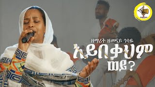 አይበቃህም ወይ ዘማሪት ዘመናይ ጎሳዬ Zemarit Zemenay Gosaye Aybekahem woy New mezmur [upl. by Mcconnell]