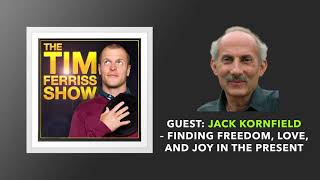 Jack Kornfield — Finding Freedom Love and Joy in the Present  The Tim Ferriss Show Podcast [upl. by Idnahs]