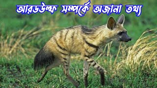 আরডউল্ফ সম্পর্কে অজানা তথ্য  Unknown Facts of Aardwolf [upl. by Lesli]