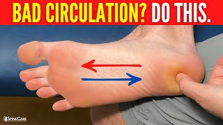 How to INSTANTLY Improve Circulation in Your Feet and Toes [upl. by Aratihc514]