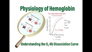 Physiology of Hemoglobin Understanding the OxygenHemoglobin Dissociation Curve [upl. by Saqaw]