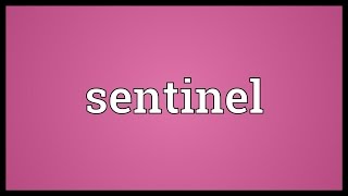 Sentinel Meaning [upl. by Elacim]