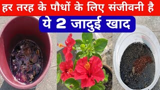 हर तरह के पौधों के लिए संजीवनी है ये 2 जादुई खाद gardening fertilizer [upl. by Grekin366]