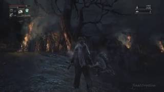 Lets play 2 Bloodborne  Its getting angry [upl. by Quiteris]