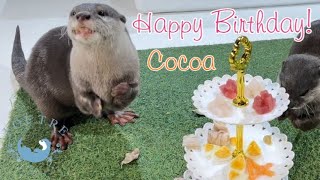 Otter Cocoas 4th Birthday Dinner Increased Stamina [upl. by Crichton]