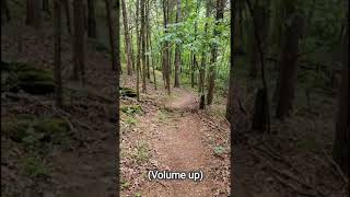 Terrifying Noises on the Appalachian Trail [upl. by Misty]