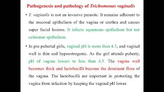 Trichomonas vaginalis Trichomoniasis Clinical parasitology [upl. by Airotahs]