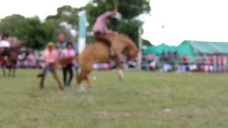 Jineteadas de Caballos Clina Limpia Fiesta Ternero Sauceño 2019 Canal Rural CamperoTv AgroTv Horses [upl. by Bohon]