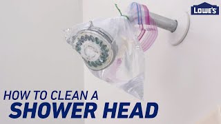 How To Clean a Shower Head and Shower Drain [upl. by Alfonso]