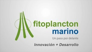 Fitoplancton Marino  ID [upl. by Akehsar422]