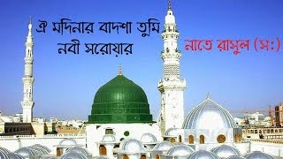 ঐ মদিনার বাদশা তুমি  oi modinar badsha tumi  জাগরণ১  Voice of Peace [upl. by Kristyn989]