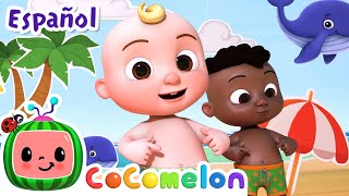 Canción del ombligo  Canciones Infantiles  Caricaturas para bebes  CoComelon en Español [upl. by Aalst]