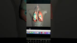 Normal Lung Sounds Vs Crackles  Fine Crackels  Coarse Crackles  Within 2 minutes [upl. by Beitris119]