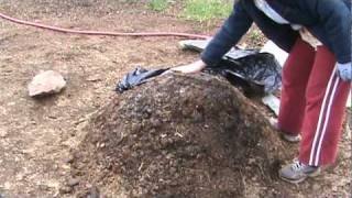 How to Compost Manure in Thirty Days [upl. by Pandich503]