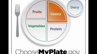 MyPlate Animated [upl. by Yumuk]