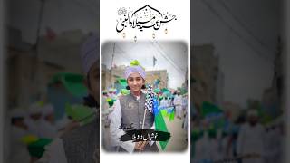 Subah e Baharan 2024 eidmiladunnabi subhe bahara 2024 17september juloos [upl. by Brett]