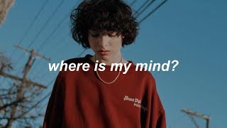 Calpurnia  where is my mind  español [upl. by Richel]