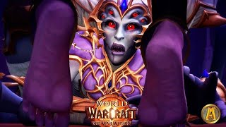 Temerity vs Heroic Queen Ansurek BM Hunter POV [upl. by Anot]