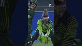 So thats where the ball went 🙃 YTShorts CricketShorts [upl. by Steady]