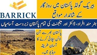 Barrick Gold Corporation Jobs 2024  Barrick Gold Corporation Jobs in Pakistan [upl. by Aimaj]