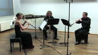 Ludwig van Beethoven  Trio Cduur op 87 I Allegro [upl. by Nylitsirk]