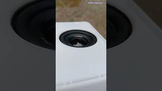 MZ Portable Speaker Bass Test 🔥 bass test speaker extreme bass test subwoofer [upl. by Cotterell]