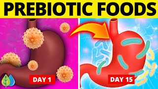 🦠Top 6 Best Prebiotic Foods That Improve Gut Health [upl. by Aniryt]