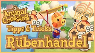 Tipps amp Tricks Rübenhandel  ANIMAL CROSSING NEW HORIZONS [upl. by Kolivas]