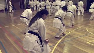 Pt 1 Cat Stance Combination Sepai amp Hangetsu [upl. by Emmalynn]