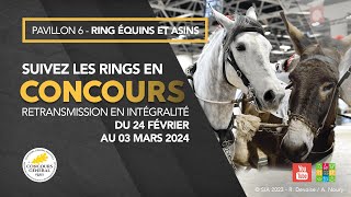 Ring Équins et Asins 27022024 [upl. by Ause]