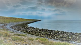 Natuurfilm  Documentaire Afsluitdijk [upl. by Sinnoda]