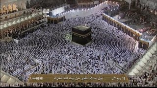 HD Amazing Makkah Fajr 31st Jan 2013 Sheikh Juhany [upl. by Ardnaxela]