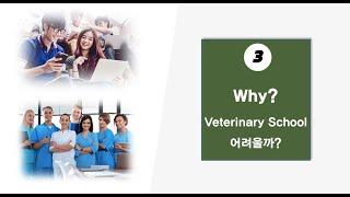 미국 수의사의 전망은 어떤가요 그리고 미국 수의대Veterinary School 입학을 위한 PreVet 과정을 유학생도 입학이 가능할까요 [upl. by Novaat456]